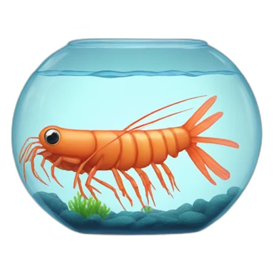 Shrimp in aquarium sticker