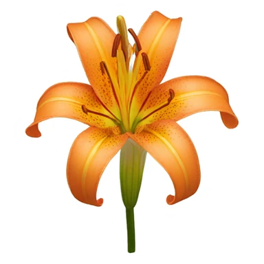 orange natal lily sticker