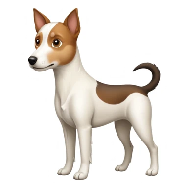 a full body large white parson russell looking dog the size of a kelpie with light brown flopped down ears and a light brown patch on one eye and a large snout sticker