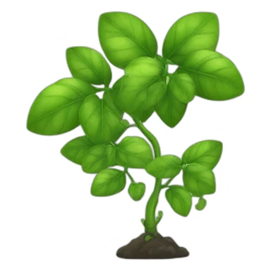 green-plant-liana sticker