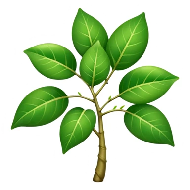 FICUS NATASJA sticker