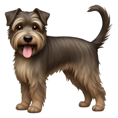 a dark brown haired brindle color terrier with crazy hair and long chin hair name Bon Jovi sticker
