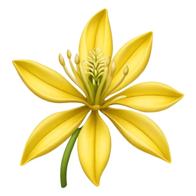 Ylang-ylang sticker