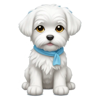 Maltese puppy with sky blue hair tie sticker