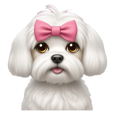 maltese with cute eyelashes and a bow sticker