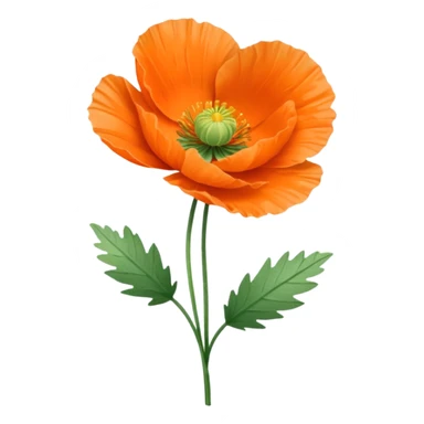 icelandic poppy sticker