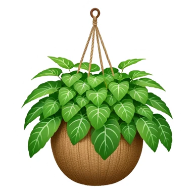Plectranthus Verticillatus plant with perfectly circular coin-shaped green leaves in a coconut fiber hanging basket sticker