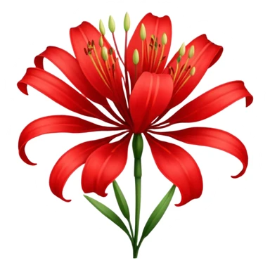Lycoris sticker