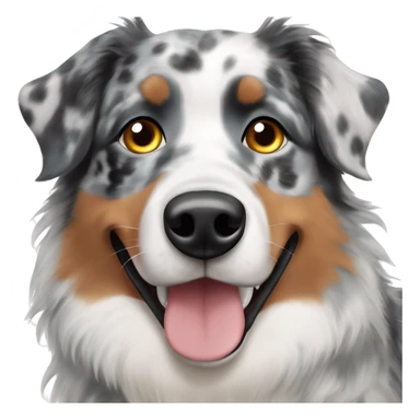 Black and grey Merle Australian shepherd with hazelnut eye color  sticker