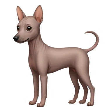 No. 2 Jaguar grown four legs/ No.2 Mexican Hairless Dog sticker