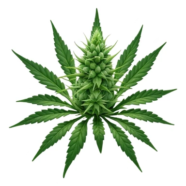 cannabis bud sticker