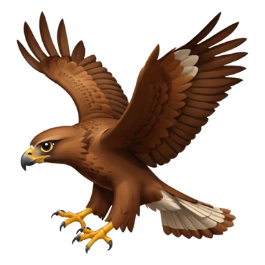 hawk sticker
