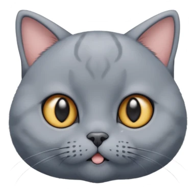 英短蓝猫可爱的表情 sticker