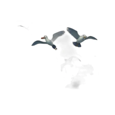 pássaros nadando em alto mar sticker