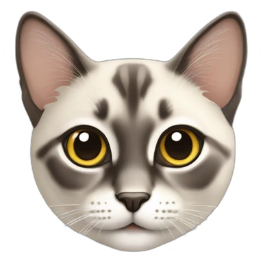Chat siamois sticker