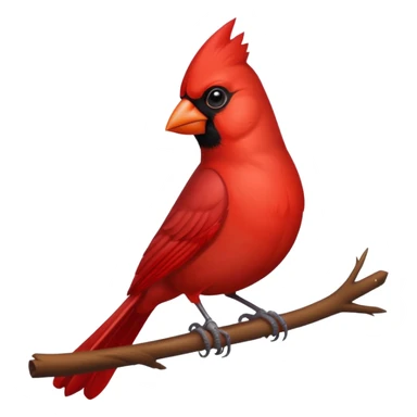 Cardinal bird sticker