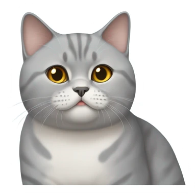 Two British shorthair cat sticker