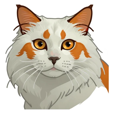 White and orange ragdoll cat with orange eyes  sticker