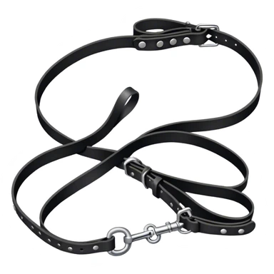 Black collar with leash sticker
