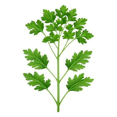 Coriander sticker