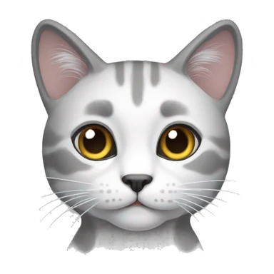 Gato gris y blanco sticker