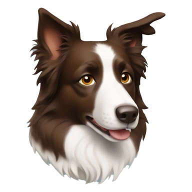Blue brown Border Collie  sticker