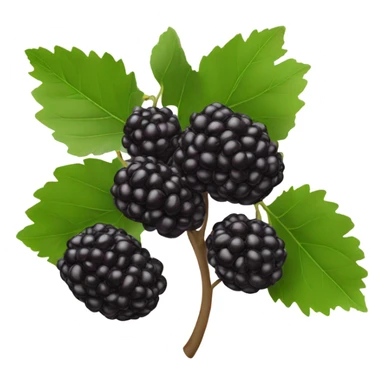 one black mulberry sticker