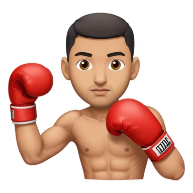 amir khan sticker