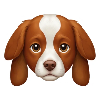 Un chien de chasse, elagneul breton aussis. . sticker