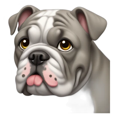 Gray colored France-BullDog sticker