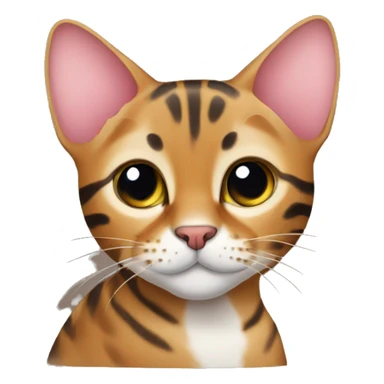 Bengal cat with heart sticker