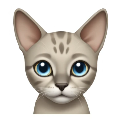 Thai breed adult cat with a light cream-brown body, dark gray nose and face, ears, and paws. sharp ears, and striking light blue eyes  sticker