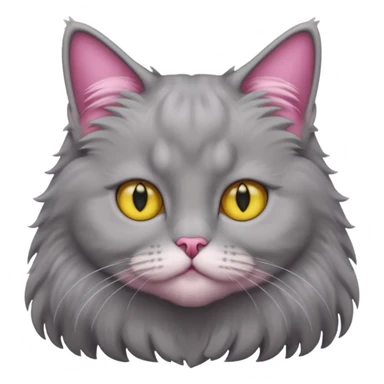 grey fluffy british long hair cat with yellow eyes straight fluffy hair rosa ears and grey rosa nose sticker
