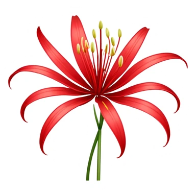 Spider lily flower sticker