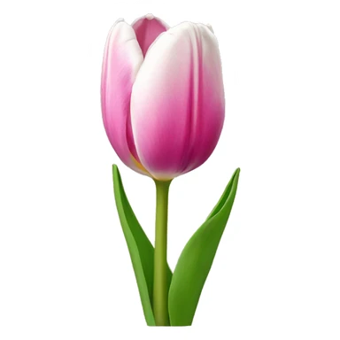 tulip sticker