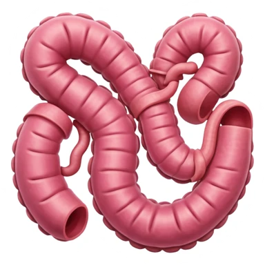 large intestine sticker