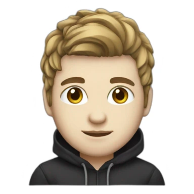 web developer in black hoodie ,white skin, hairtail and computer sticker