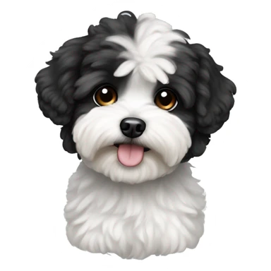 Black and white Maltipoo  sticker