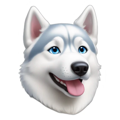 White Siberian husky smile  blue eyes sticker