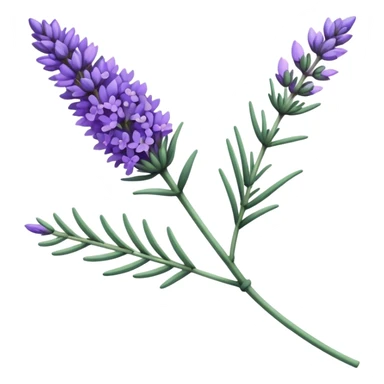 single stem of lavender sticker