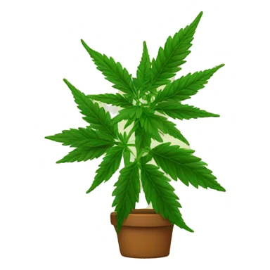 Marijuana plant sticker