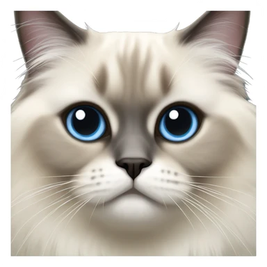 a himalayan birman cat with grey bluish eyes sticker