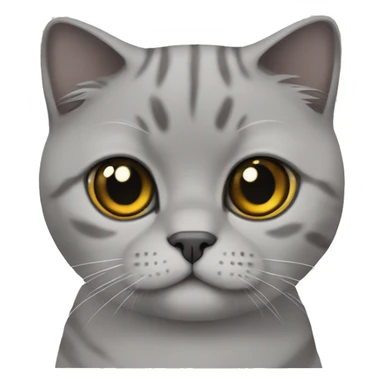 Scottish fold cat grey sticker