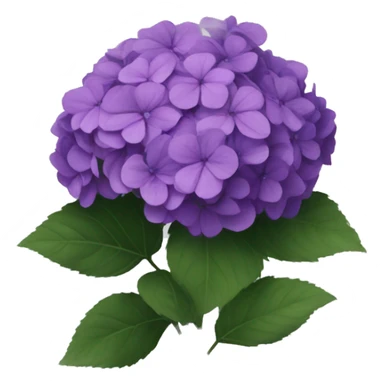 Dark purple hydrangea sticker