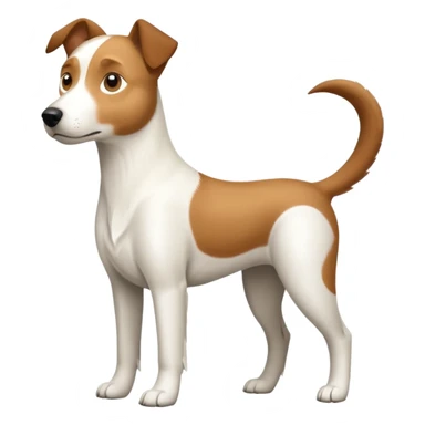 a full body large white parson russell looking dog the size of a kelpie with light brown ears and a light brown patch on one eye and a large snout sticker