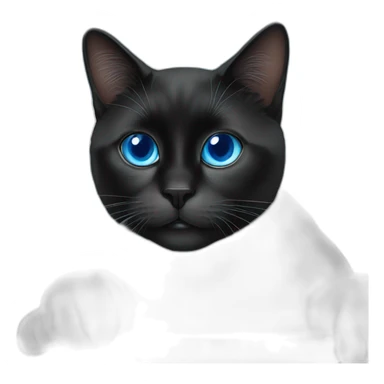 a black cat with blue eyes works on the stock market sticker