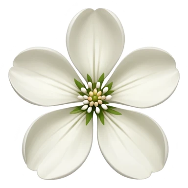 dogwood flower sticker