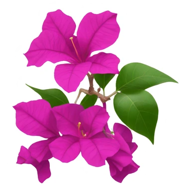 bougainvillea flowers sticker