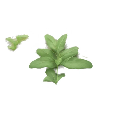 Open Light Sage green holy Bible with a light coloured gardens coming from the sides of the Bible  sticker