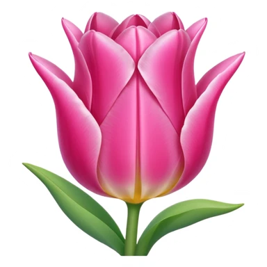 Pink tulip sticker